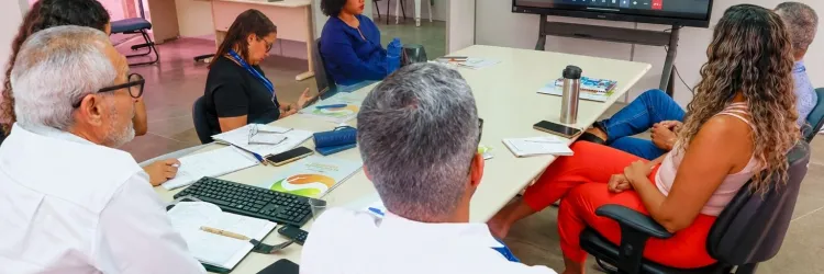 Reunião Câmara Setorial Cocoicultura