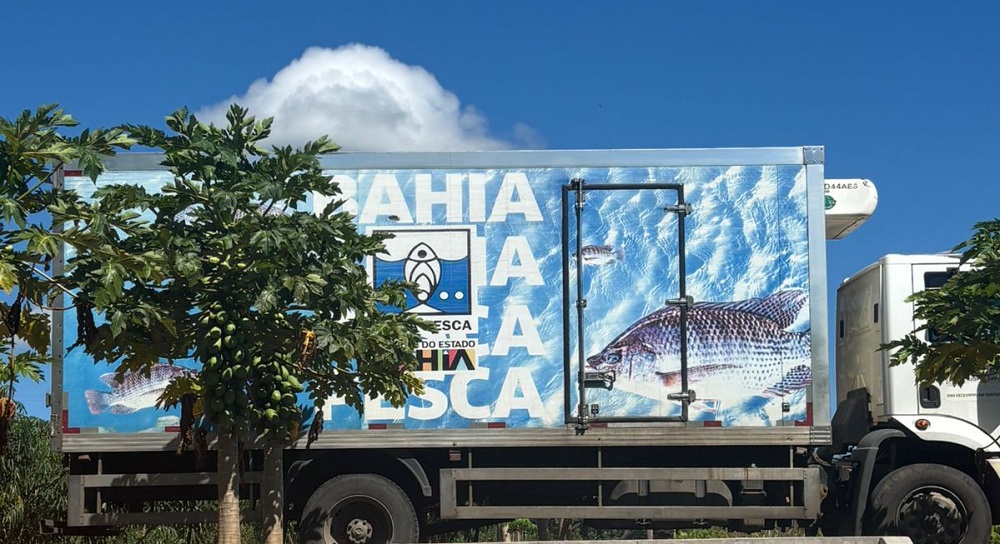 Conjunto Penal de Barreiras recebe 4 mil tilápias.