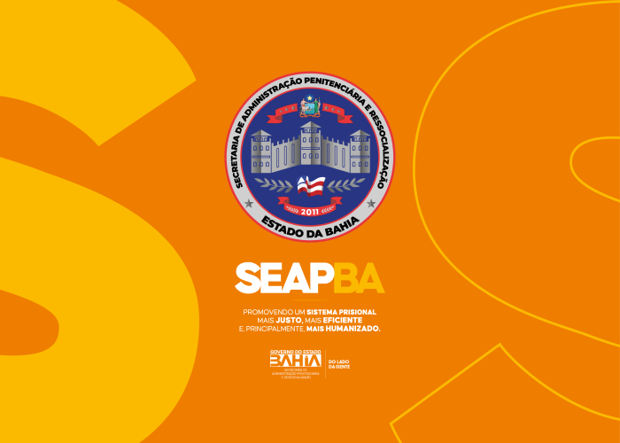 Banner Institucional SEAP