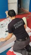 Operação Mute 7.jpg
