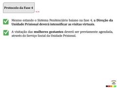 www Plano de Visitas foto 10.jpg