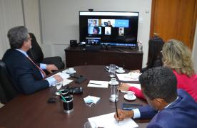 reunião virtual 3.jpg