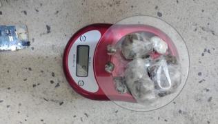 Operação eunapolis antipenultima foto.jpg