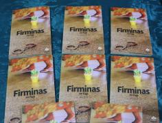 Firminas em fuga 2.jpg