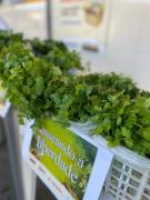 doação em Barreiras 5.jpg