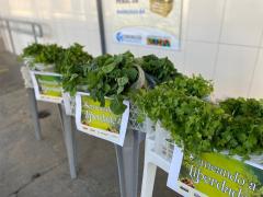 doação em Barreiras 7.jpg