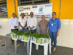 doação em Barreiras 8.jpg