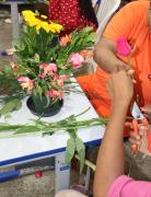 ZZ Projeto flores 25.jpg