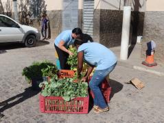 ZZZ ecerramento Capp 9.jpg