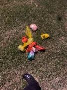 A Apreenssão GEOP 11.jpg