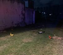 A Apreenssão GEOP 12.jpg