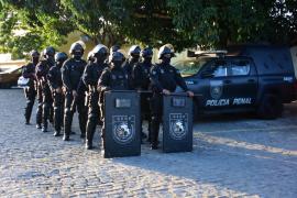 A Apreenssão Mute II capa.jpg