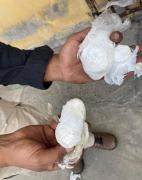 A Apreenssão Mute resultado II 3.jpg