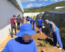 A orta Juazeiro 3.jpg