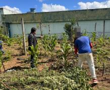 A orta Juazeiro 4.jpg