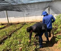 A orta Juazeiro 6.jpg