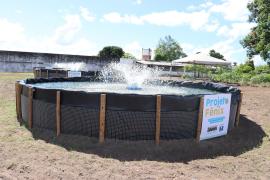 AAA Projeto Fenix Capa.jpg