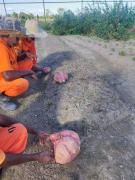 AAA a As mãos que alimentam 2.jpg