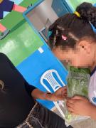 AAA hortaliças 1.jpg