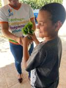 AAA hortaliças 2.jpg