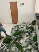 AAAAA doações barreiras 02.jpg