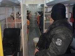 AA aa angerona 1.jpg