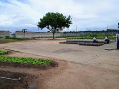 AA aa aaa visita a Cpfs 1.jpg