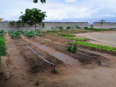 AA aa aaa visita a Cpfs 3.jpg