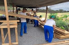 AAA aa a carpitaria 2.jpg