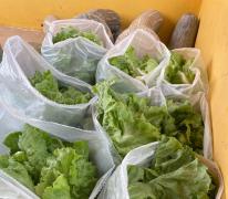 ZZZZZ zzz xxxxxxxx xx Oeste 1.jpg