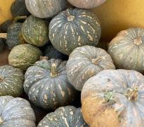 ZZZZZ zzz xxxxxxxx xx Oeste 3.jpg