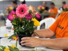 ZZZZ ZZZZZZZZZZZ Flores que Falam 13.jpg