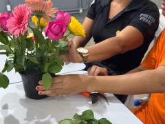 ZZZZ ZZZZZZZZZZZ Flores que Falam 17.jpg