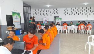 AAA a multirao capa.jpg