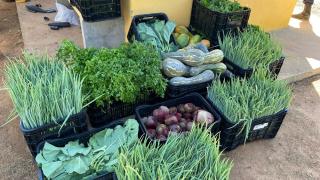 a a a a a a barreiras orta 2.jpg