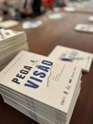 a a a a a pega visão 2.jpg