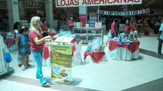 Exposição Jequitibá1.jpg