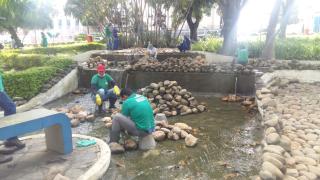 WhatsApp Image 2018-12-01 at 14.10.58.jpeg