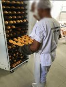 Point Blur_Mar302019_150519.jpg