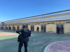 A Apreenssão Mute resultado II capa.jpg