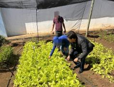 A orta Juazeiro 5.jpg