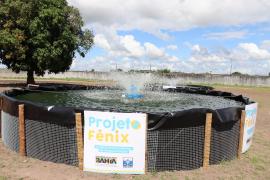 AAA Projeto fenix 7.jpg
