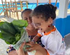 AAA hortaliças Capa.jpg