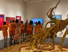 AAAAA Visita da feminina 4.jpg