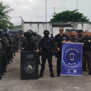 Operação Mute 11° Fase