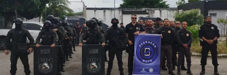 Operação Mute 11° Fase