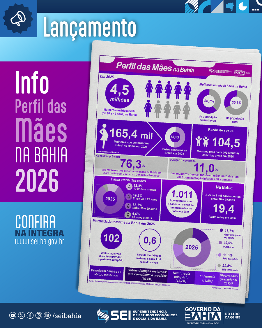 Lançamento Info Perfil das Mães na Bahia 2026 