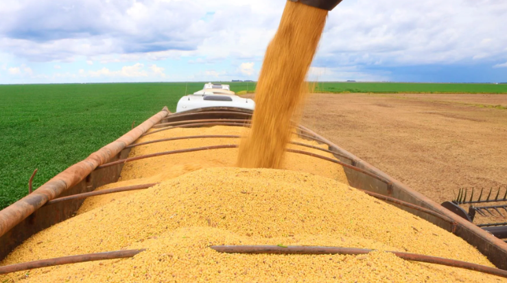 Carregamento de soja - PIB do agronegócio