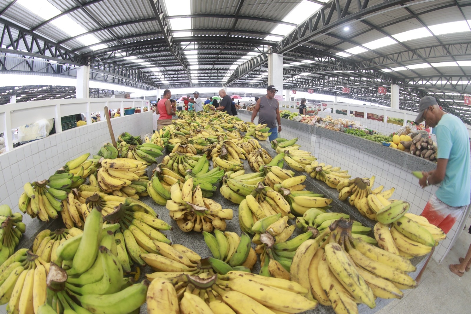 Com alta de 5,29% em maio, custo da Cesta Básica em Salvador supera a forte elevação de março