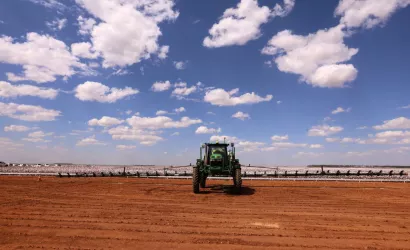 Plantação de algodão